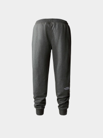 Штани The North Face M Nse Light Pant модель NF0A4T1FDYY1 Фото