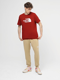 Штани The North Face M Nse Light Pant модель NF0A4T1FLK51 Фото