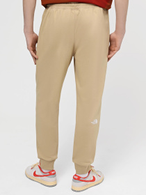 Штани The North Face M Nse Light Pant модель NF0A4T1FLK51 Фото