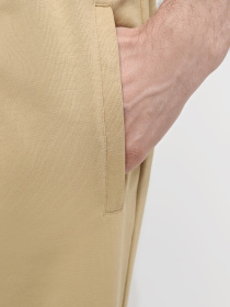 Штани The North Face M Nse Light Pant модель NF0A4T1FLK51 Фото