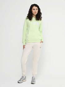 Худі та світшоти The North Face W Drew Peak Pullover Hoodie - Eu модель NF0A55ECO0F1 Фото