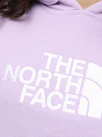 Худи и свитшоты The North Face W Drew Peak Pullover Hoodie - Eu модель NF0A55ECQZI1 Фото