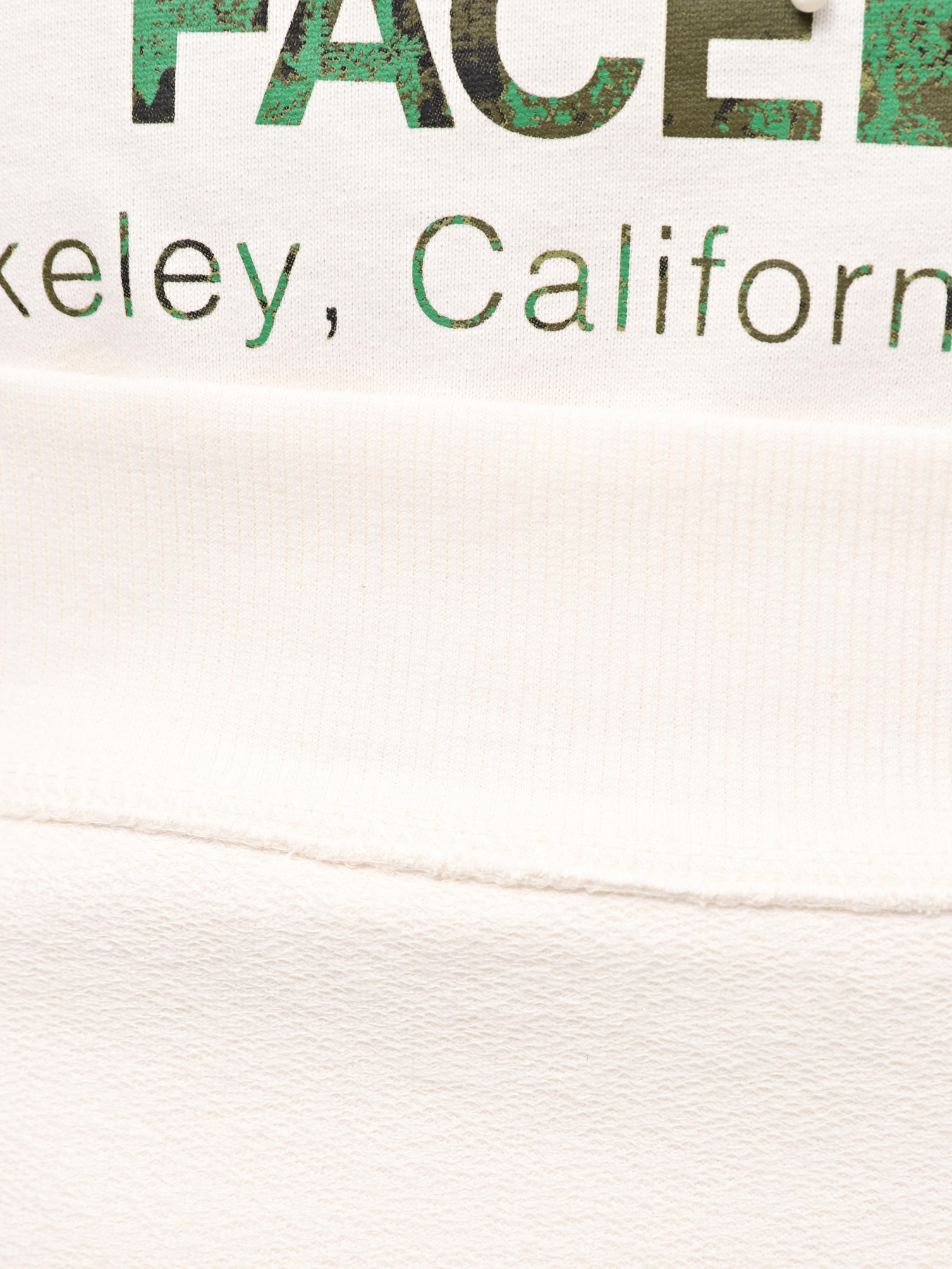Худи и свитшоты The North Face M Berkeley California Hoodie модель NF0A55GFQLI1 Фото