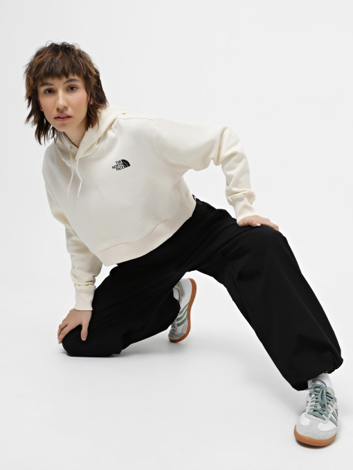 Худи и свитшоты The North Face Trend модель NF0A5ICYQLI1 Фото