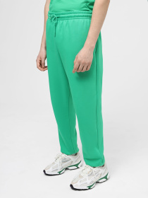Штани The North Face M Essential Jogger модель NF0A7ZJBPO81 Фото