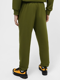Штани The North Face Zumu модель NF0A87DEPIB1 Фото