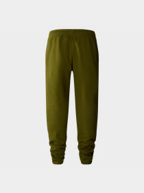 Штани The North Face Zumu модель NF0A87DEPIB1 Фото