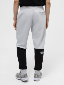Штани The North Face M Icons Pant модель NF0A87DQA0M1 Фото