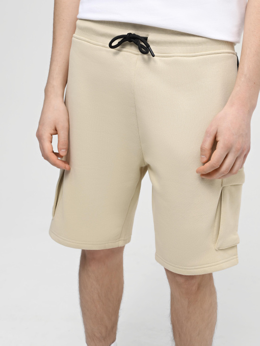 Шорти The North Face M Icons Cargo Shorts модель NF0A87DR3X41 Фото