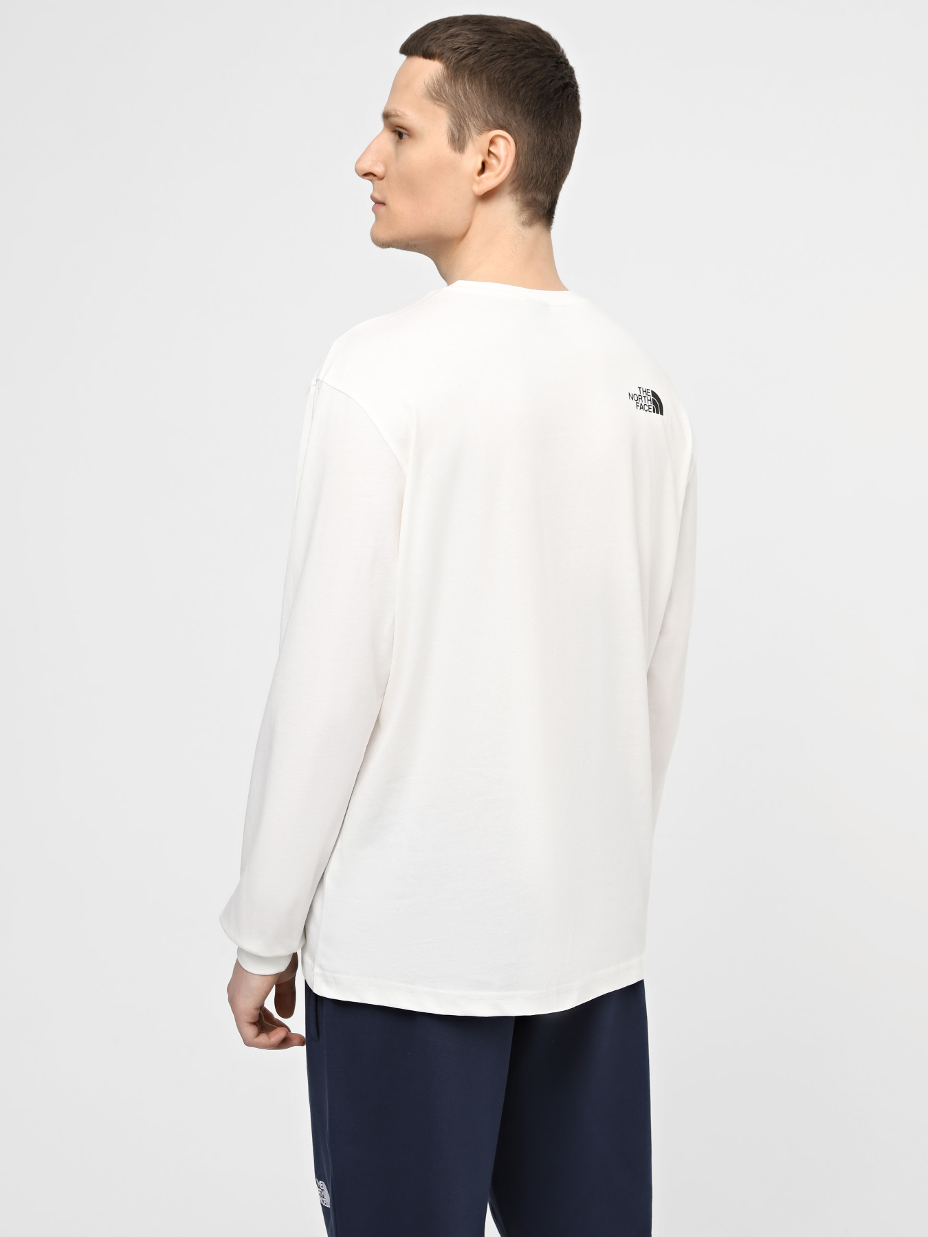 Худи и свитшоты The North Face M Tnf Est 1966 L/S Tee модель NF0A87E6QLI1 Фото