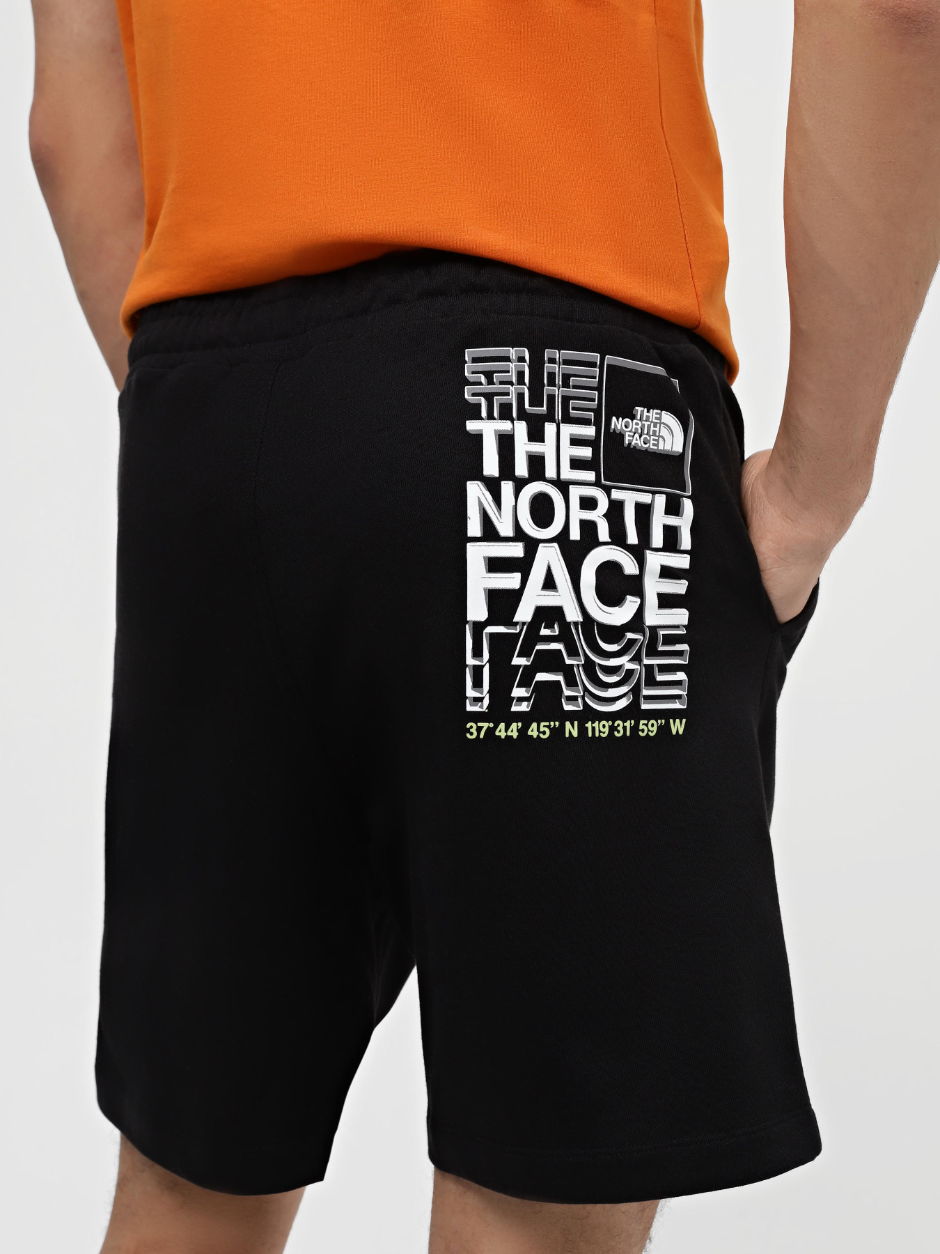 Шорти The North Face Coordinates модель NF0A87ECJK31 Фото