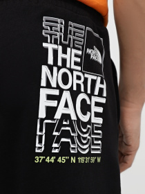 Шорти The North Face Coordinates модель NF0A87ECJK31 Фото