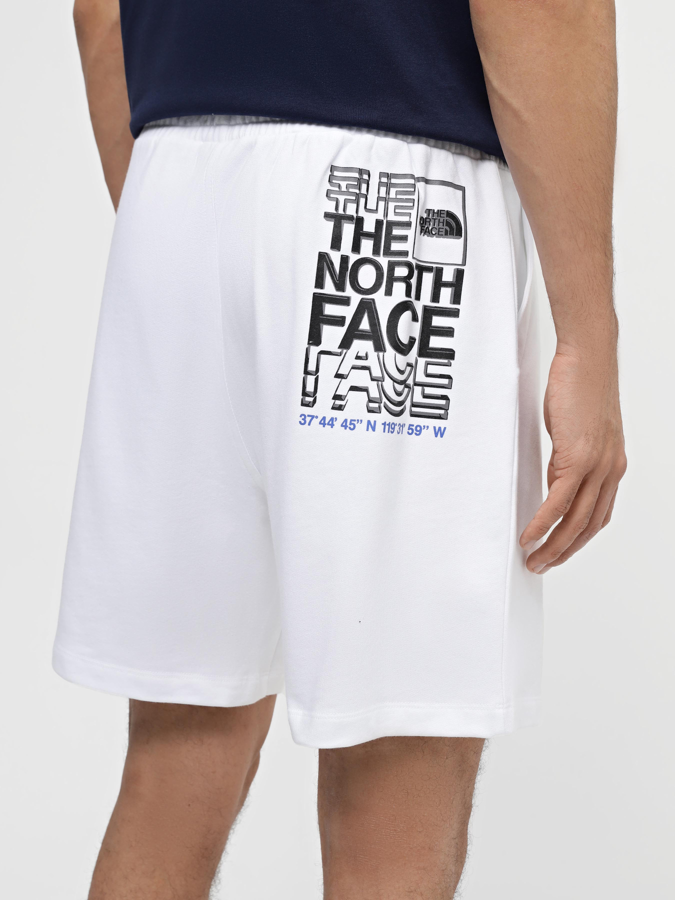 Шорти The North Face Coordinates модель NF0A87ECFN41 Фото