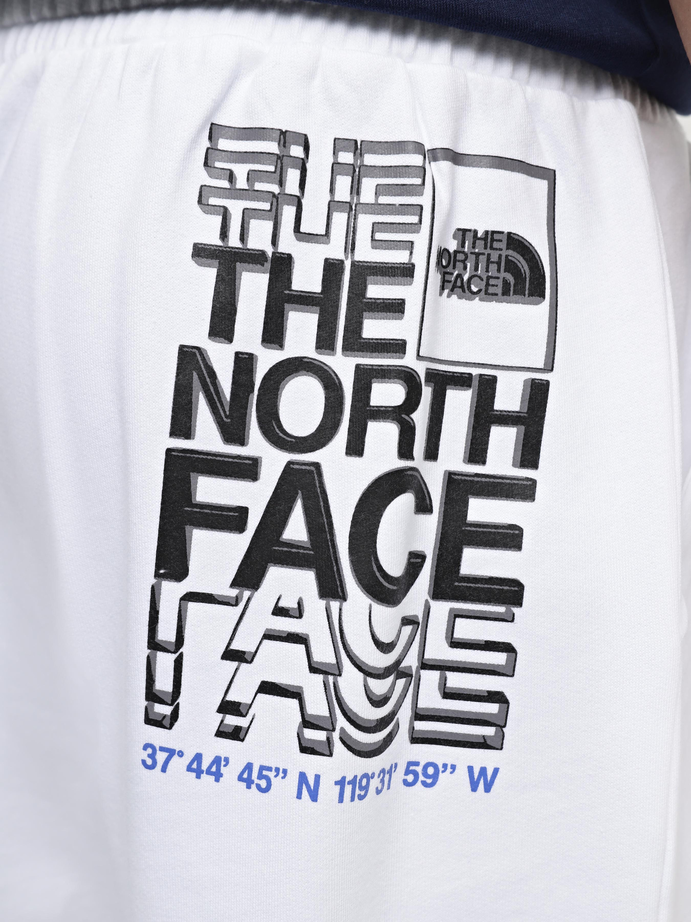Шорти The North Face Coordinates модель NF0A87ECFN41 Фото