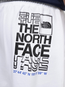 Шорти The North Face Coordinates модель NF0A87ECFN41 Фото