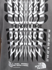 Футболки і поло The North Face M Ss24 Coordinates S/S Tee модель NF0A87ED0UZ1 Фото