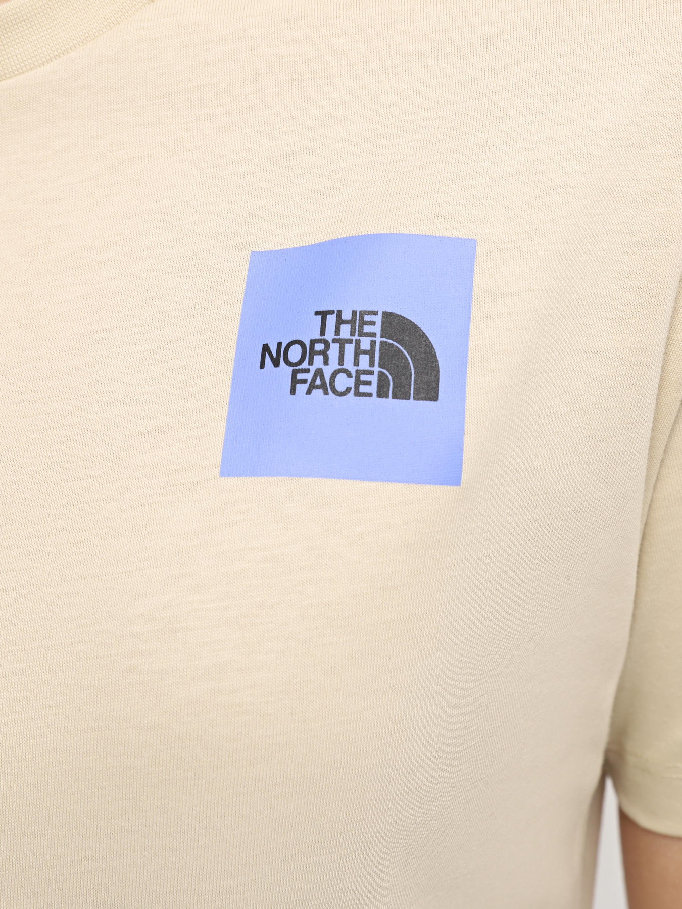 Футболки і поло The North Face W Ss24 Coordinates S/S Tee модель NF0A87EH3X41 Фото