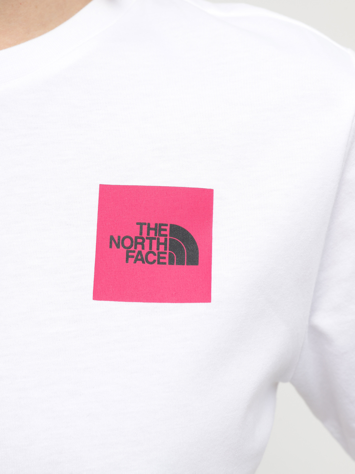 Футболки і поло The North Face W Ss24 Coordinates S/S Tee модель NF0A87EHFN41 Фото