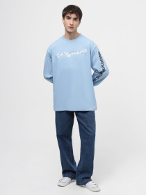 Худи и свитшоты The North Face U Nse Graphic L/S Tee модель NF0A87F5QEO1 Фото