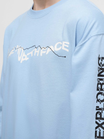 Худи и свитшоты The North Face U Nse Graphic L/S Tee модель NF0A87F5QEO1 Фото