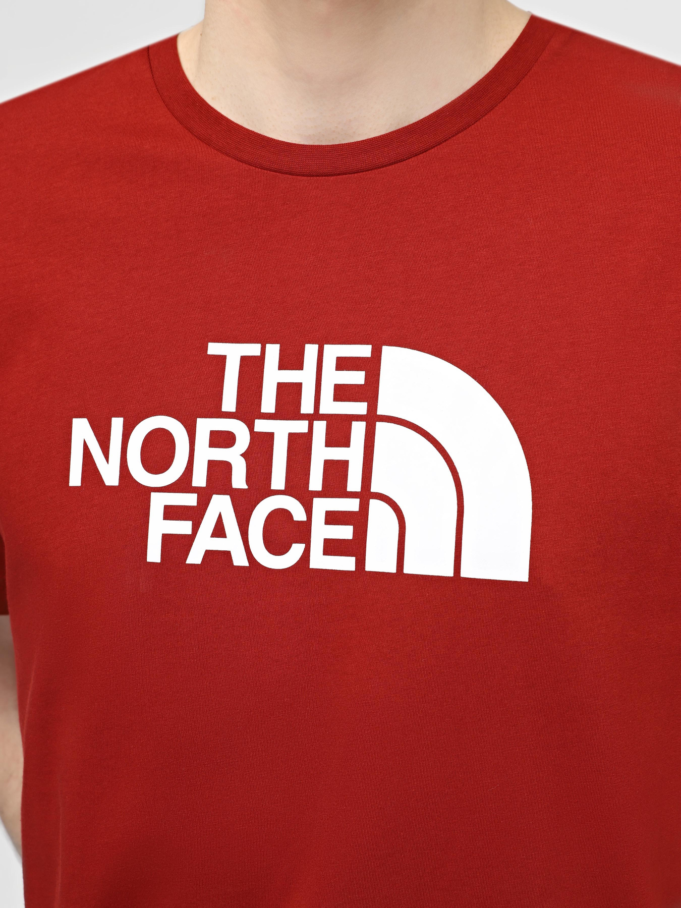 Футболки і поло The North Face M S/S Easy Tee модель NF0A87N5POJ1 Фото