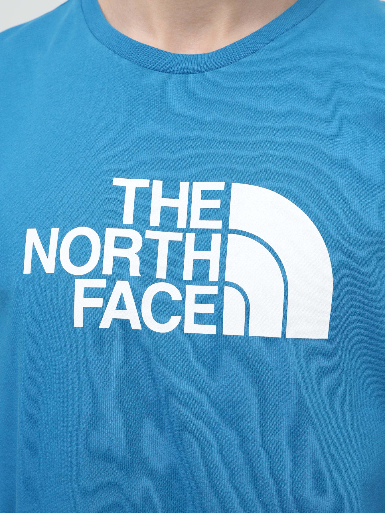 Футболки и поло The North Face Easy модель NF0A87N5RBI1 Фото