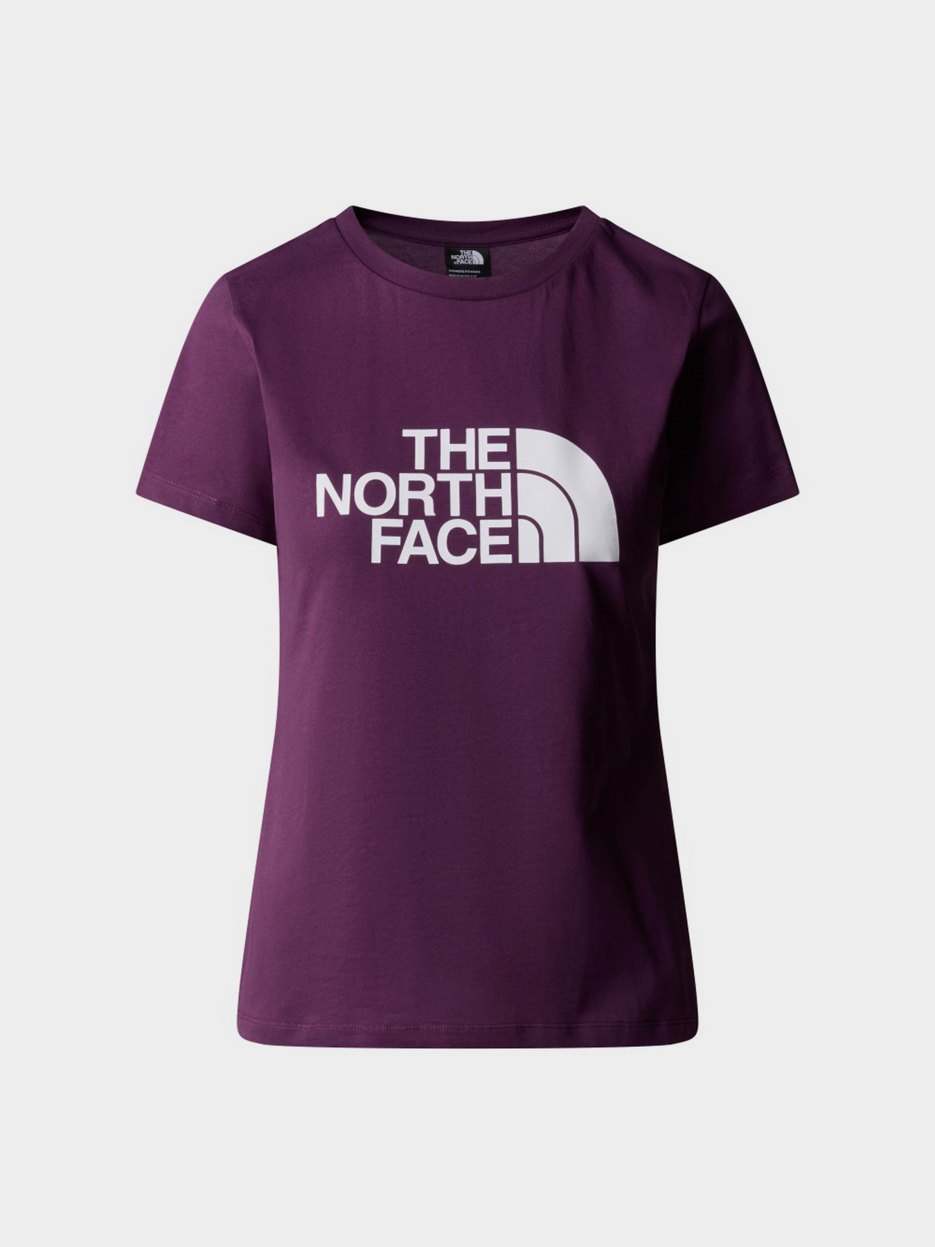 Футболки і поло The North Face S/S Easy модель NF0A87N6V6V1 Футболки і поло The North Face S/S Easy модель NF0A87N6V6V1 Фото