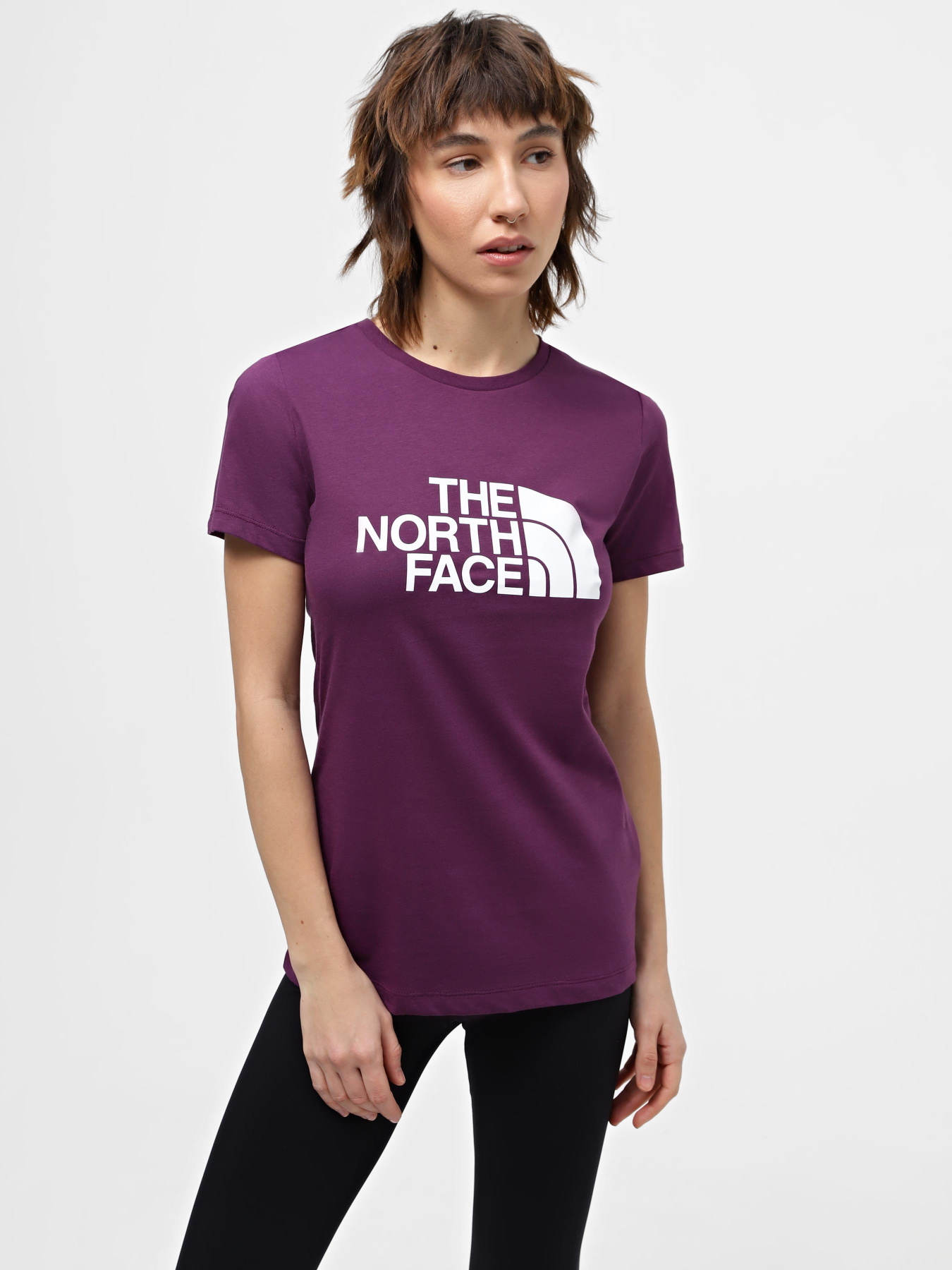 Футболки і поло The North Face S/S Easy модель NF0A87N6V6V1 Футболки і поло The North Face S/S Easy модель NF0A87N6V6V1 Фото