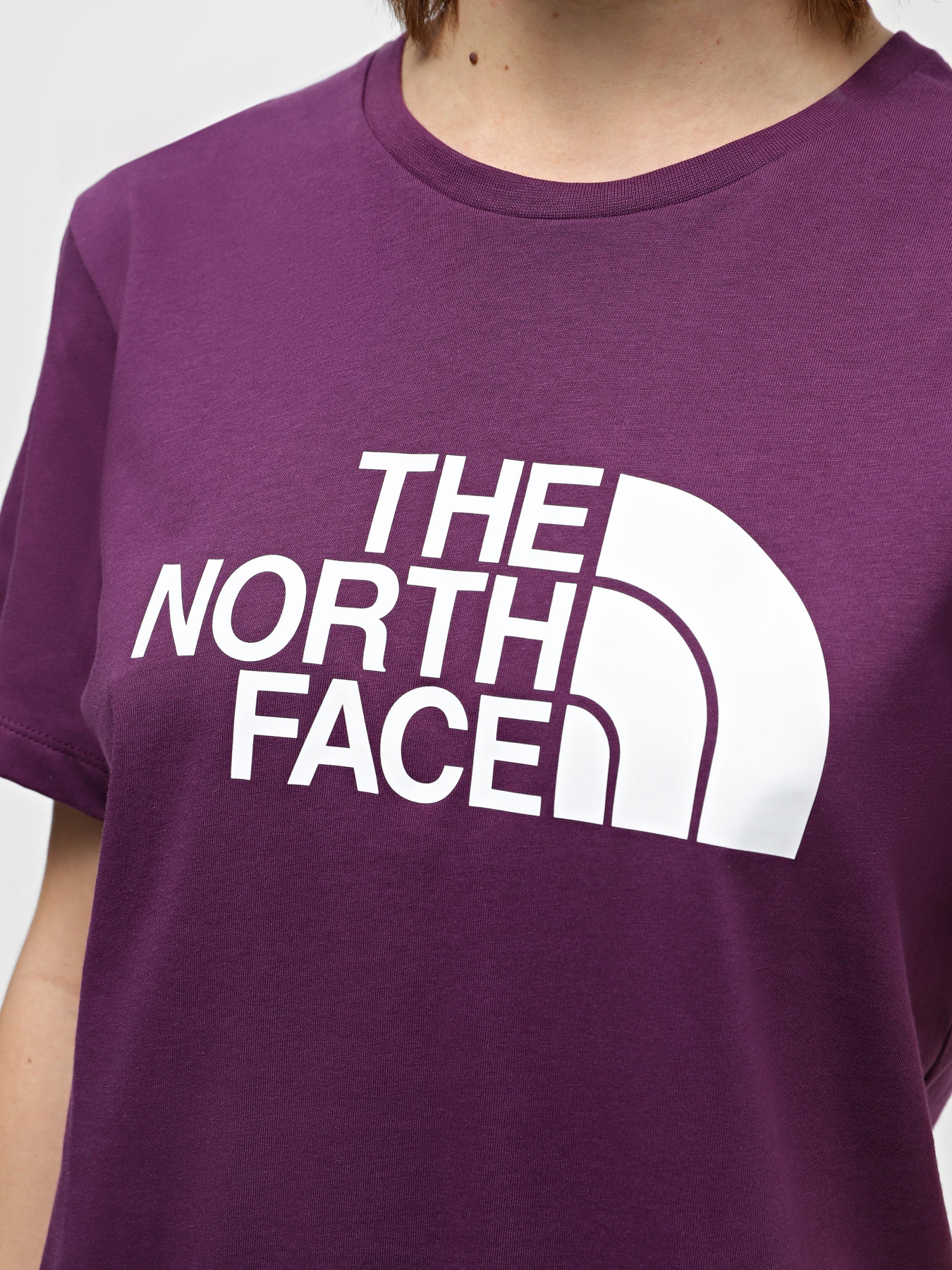 Футболки і поло The North Face W Relaxed Easy модель NF0A87N9V6V1 Футболки і поло The North Face W Relaxed Easy модель NF0A87N9V6V1 Фото