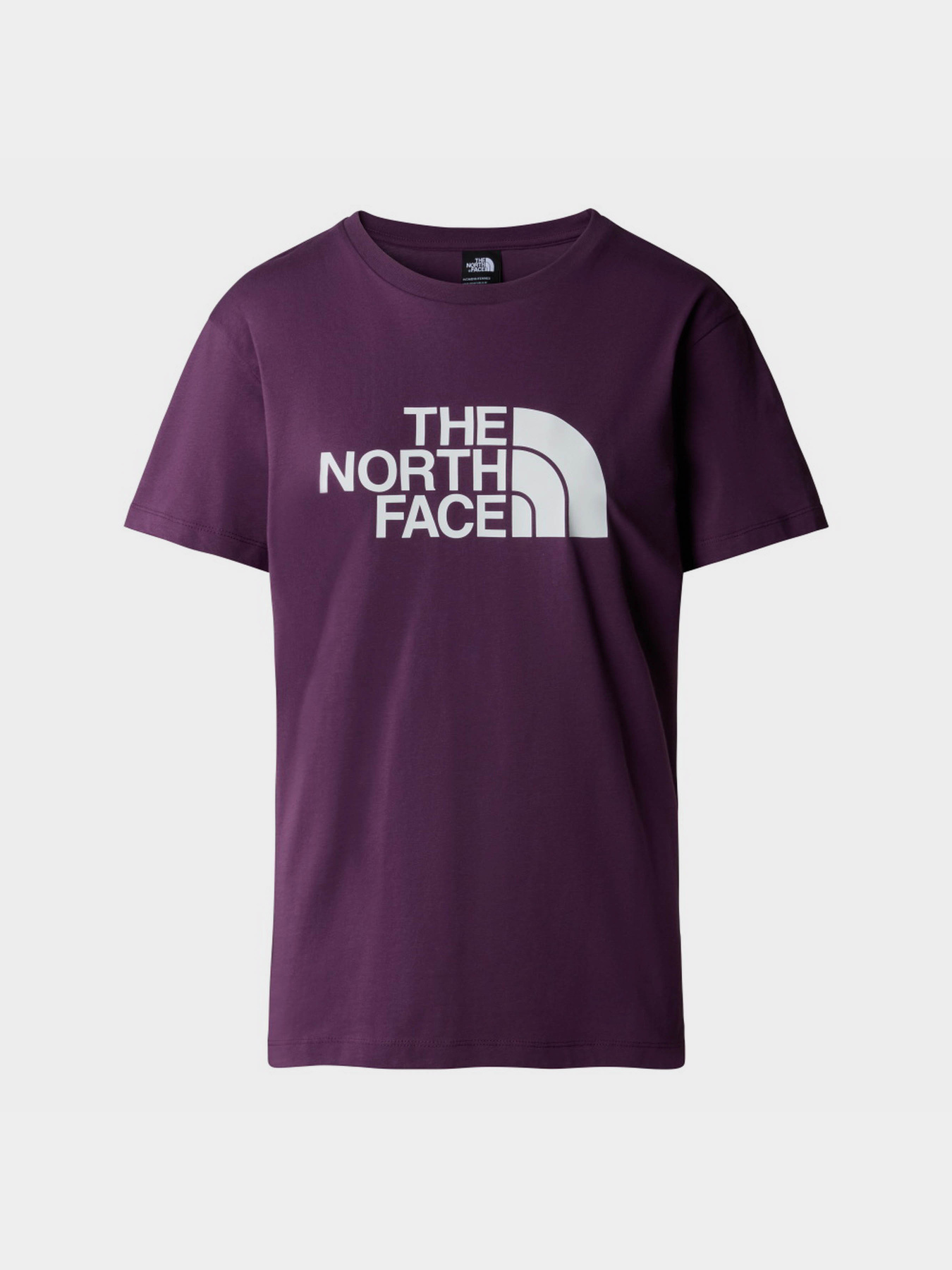 Футболки і поло The North Face W Relaxed Easy модель NF0A87N9V6V1 Футболки і поло The North Face W Relaxed Easy модель NF0A87N9V6V1 Фото