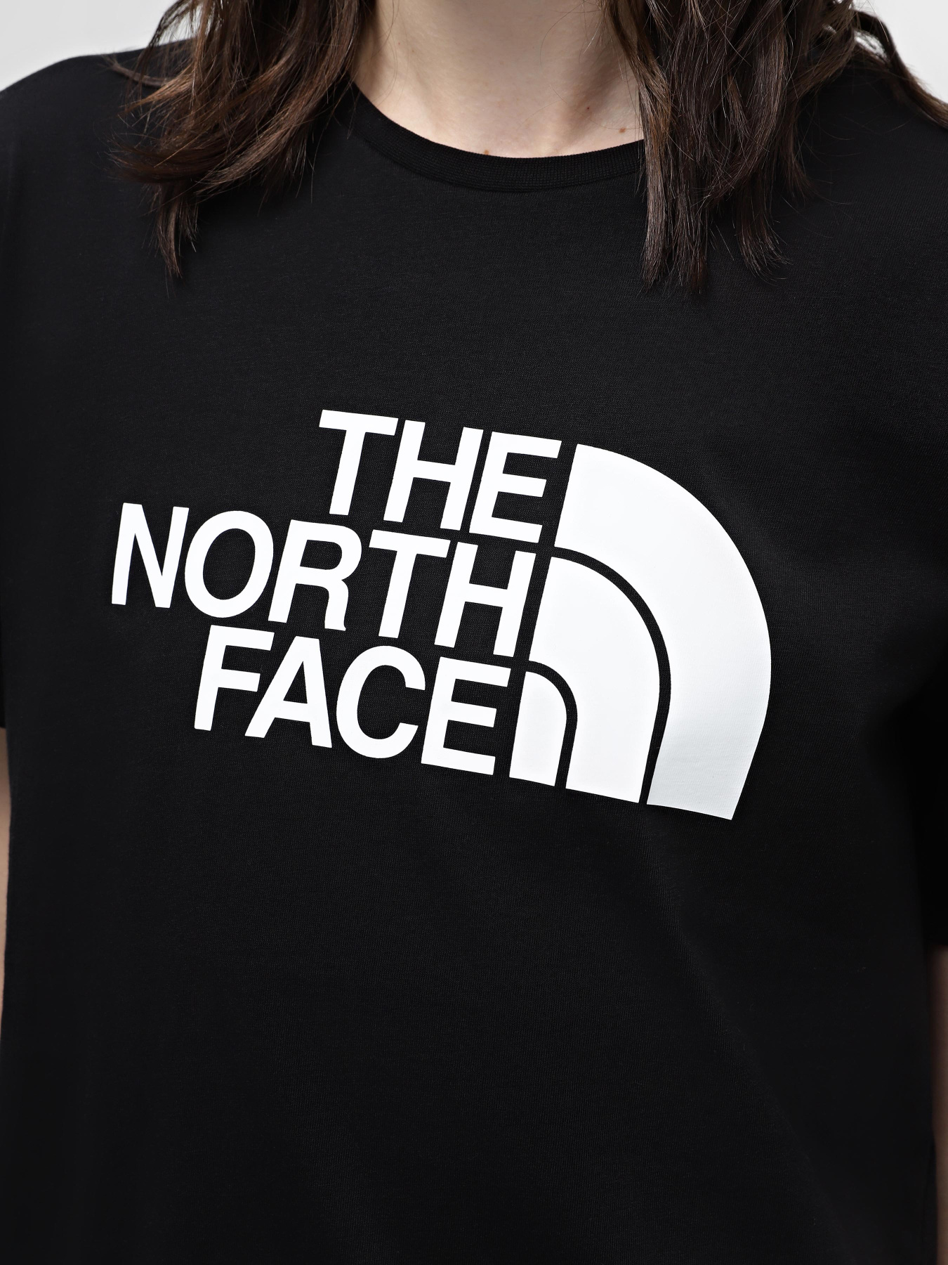 Футболки и поло The North Face W S/S Relaxed Easy Tee модель NF0A87N9JK31 Фото