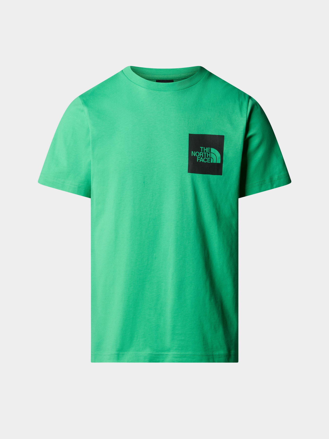 Футболки і поло The North Face M S/S Fine Tee модель NF0A87NDPO81 Фото