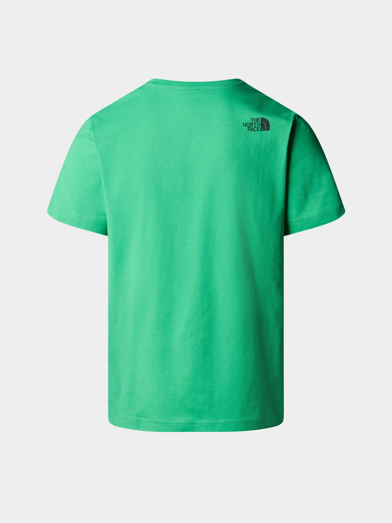 Футболки і поло The North Face M S/S Fine Tee модель NF0A87NDPO81 Фото