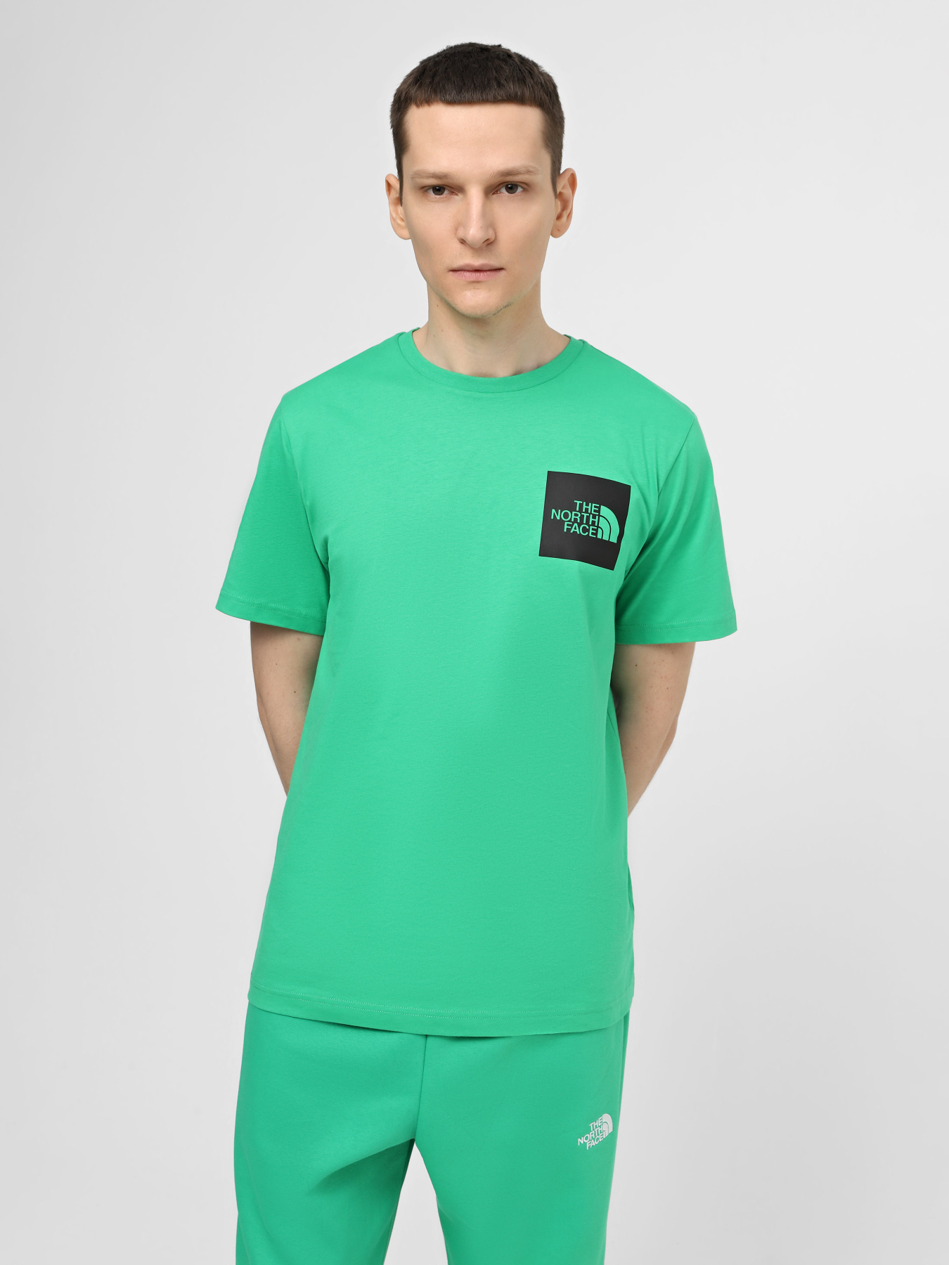 Футболки і поло The North Face M S/S Fine Tee модель NF0A87NDPO81 Фото