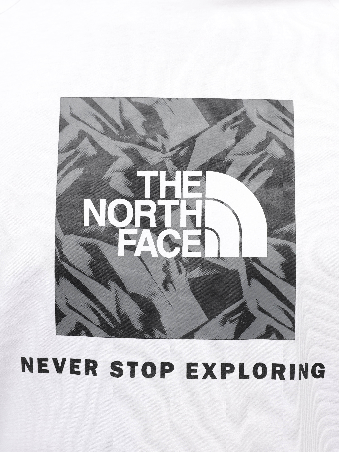 Футболки и поло The North Face Raglan Redbox модель NF0A87NJZI51 Фото