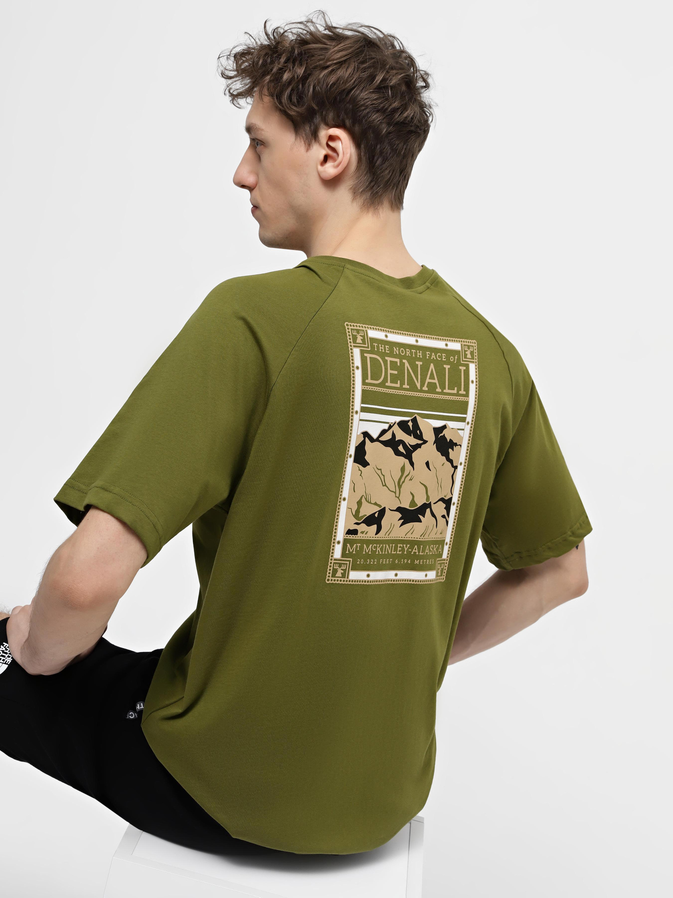 Футболки і поло The North Face M S/S North Faces Tee модель NF0A87NUPIB1 Футболки і поло The North Face M S/S North Faces Tee модель NF0A87NUPIB1 Фото