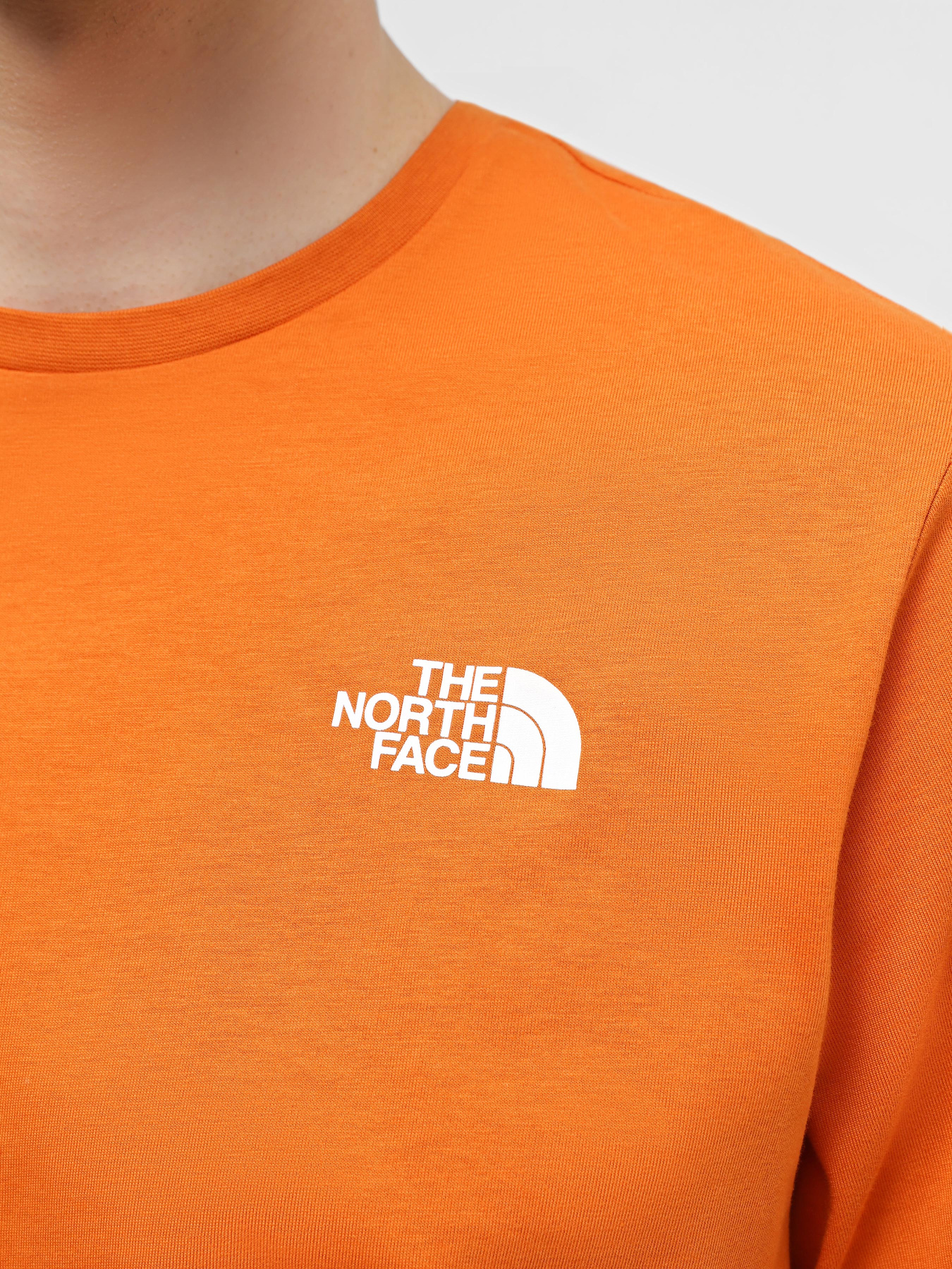 Футболки і поло The North Face Redbox Celebration Tee модель NF0A87NVPCO1 Фото