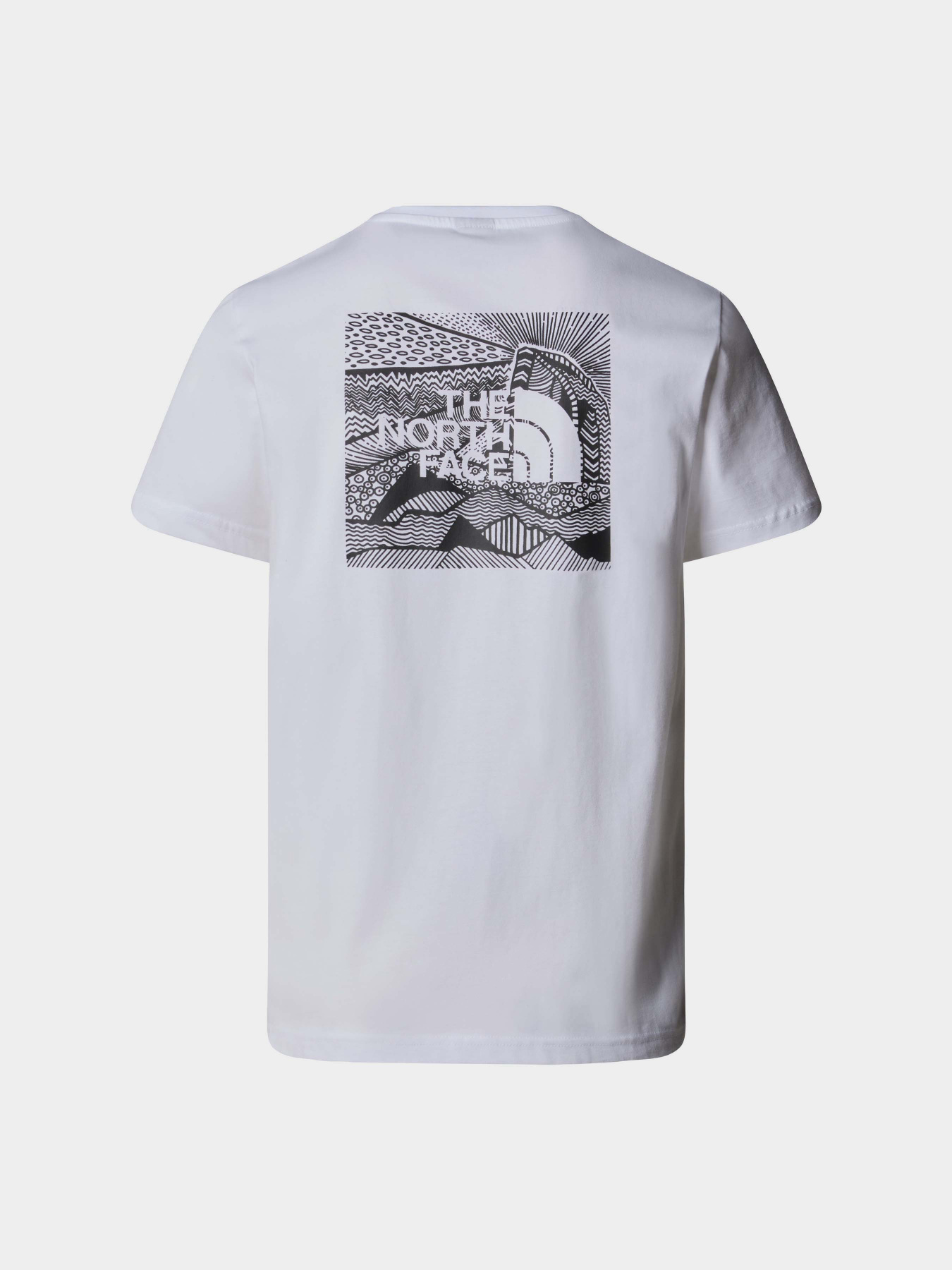 Футболки і поло The North Face Redbox Celebration Tee модель NF0A87NVFN41 Фото