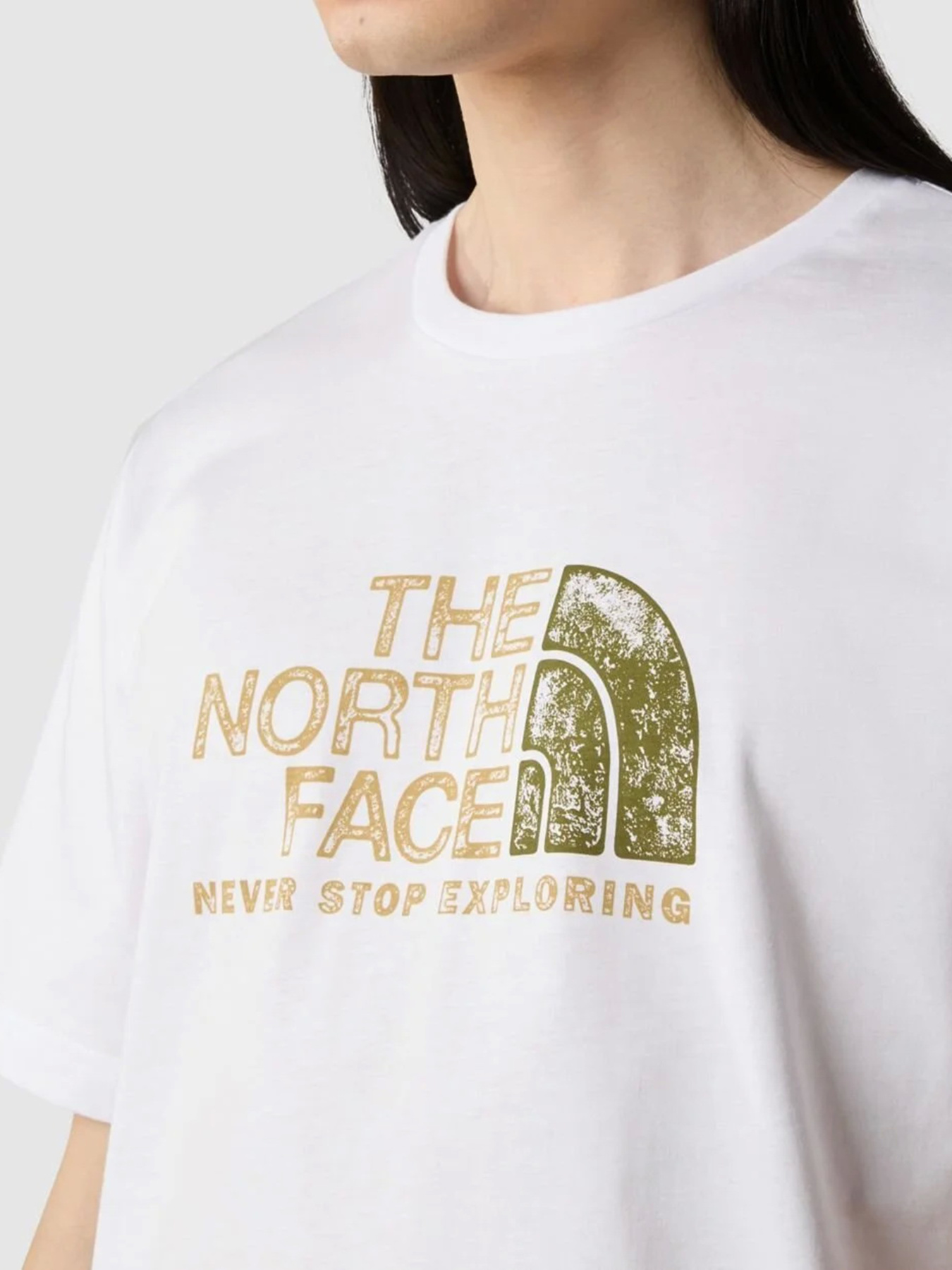 Футболки і поло The North Face S/S Rust 2 Tee модель NF0A87NWFN41 Фото