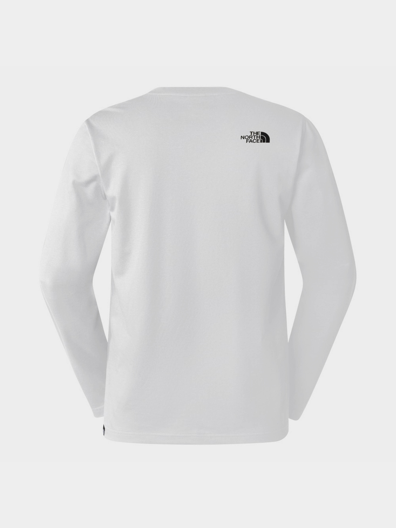 Худи и свитшоты The North Face Simple Dome модель NF0A87QNFN41 Фото