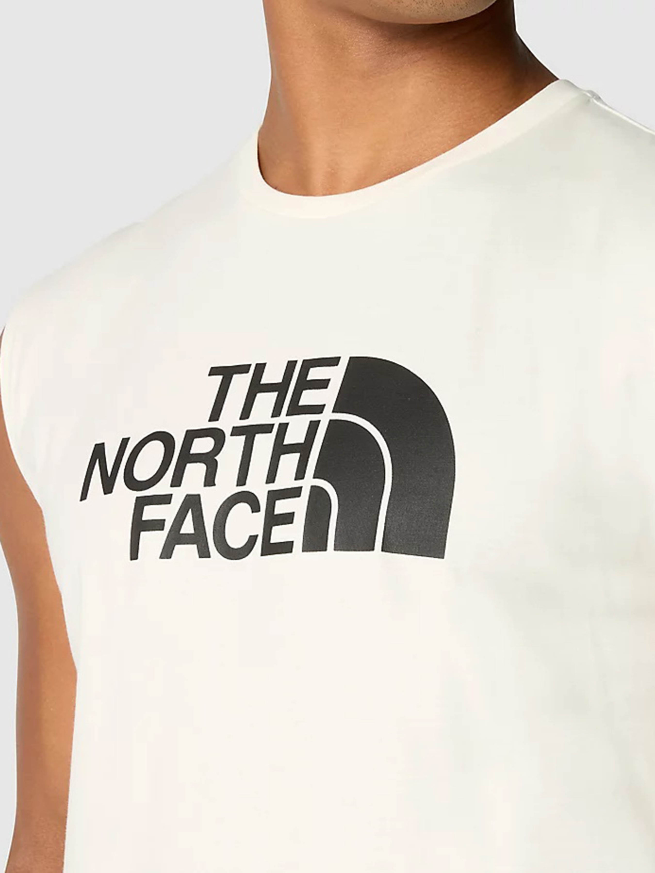 Футболки і поло The North Face Easy модель NF0A87R2QLI1 Футболки і поло The North Face Easy модель NF0A87R2QLI1 Фото