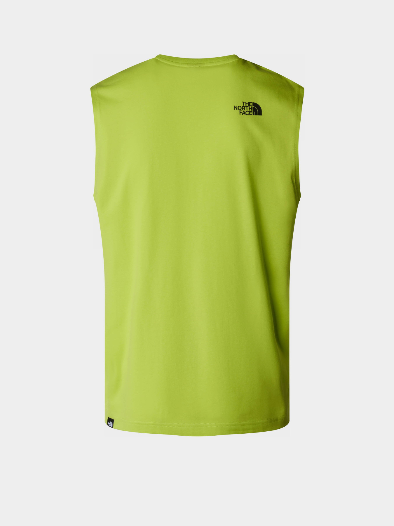 Футболки і поло The North Face M Simple Dome Tank модель NF0A87R3RIQ1 Фото