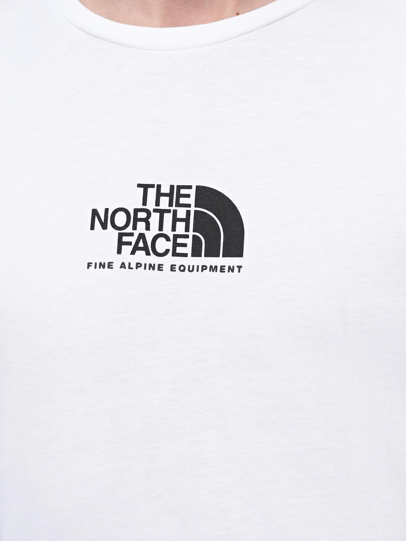 Футболки и поло The North Face  S/S Fine Alpine Equipment модель NF0A87U3FN41 Фото