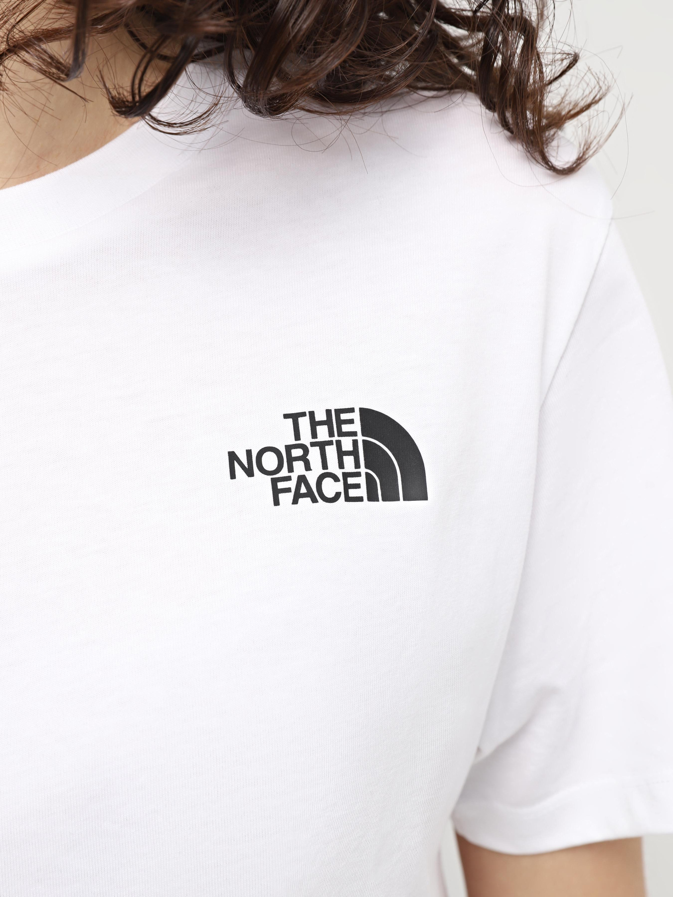 Футболки і поло The North Face Simple Dome модель NF0A87U4FN41 Футболки і поло The North Face Simple Dome модель NF0A87U4FN41 Фото