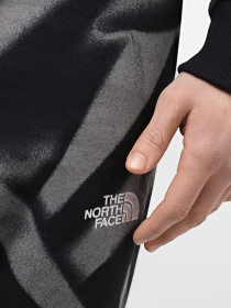 Штани The North Face M Essential Jogger Print модель NF0A881JSIF1 Фото
