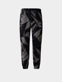 Штани The North Face M Essential Jogger Print модель NF0A881JSIF1 Фото