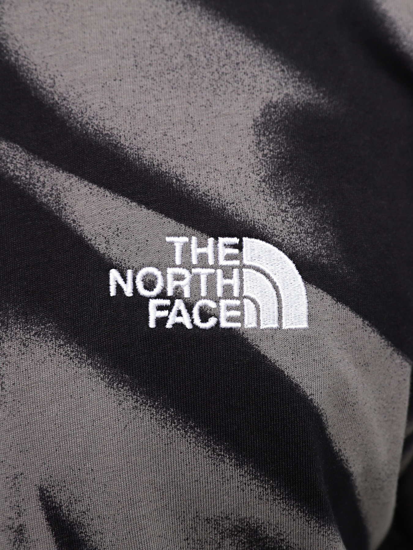 Футболки и поло The North Face Oversize Simple Dome Print модель NF0A881KSIF1 Футболки и поло The North Face Oversize Simple Dome Print модель NF0A881KSIF1 Фото