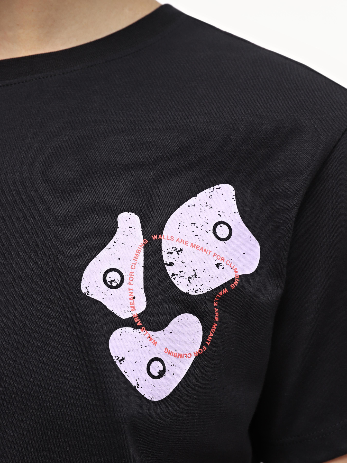 Футболки і поло The North Face W Outdoor S/S Tee модель NF0A87FJJK31 Футболки і поло The North Face W Outdoor S/S Tee модель NF0A87FJJK31 Фото