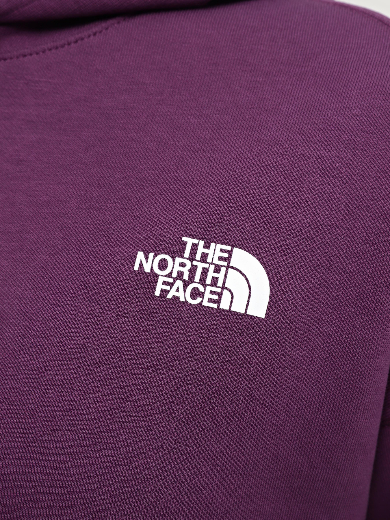 Худі та світшоти The North Face W Outdoor Graphic Hoodie модель NF0A880PV6V1 Худі та світшоти The North Face W Outdoor Graphic Hoodie модель NF0A880PV6V1 Фото