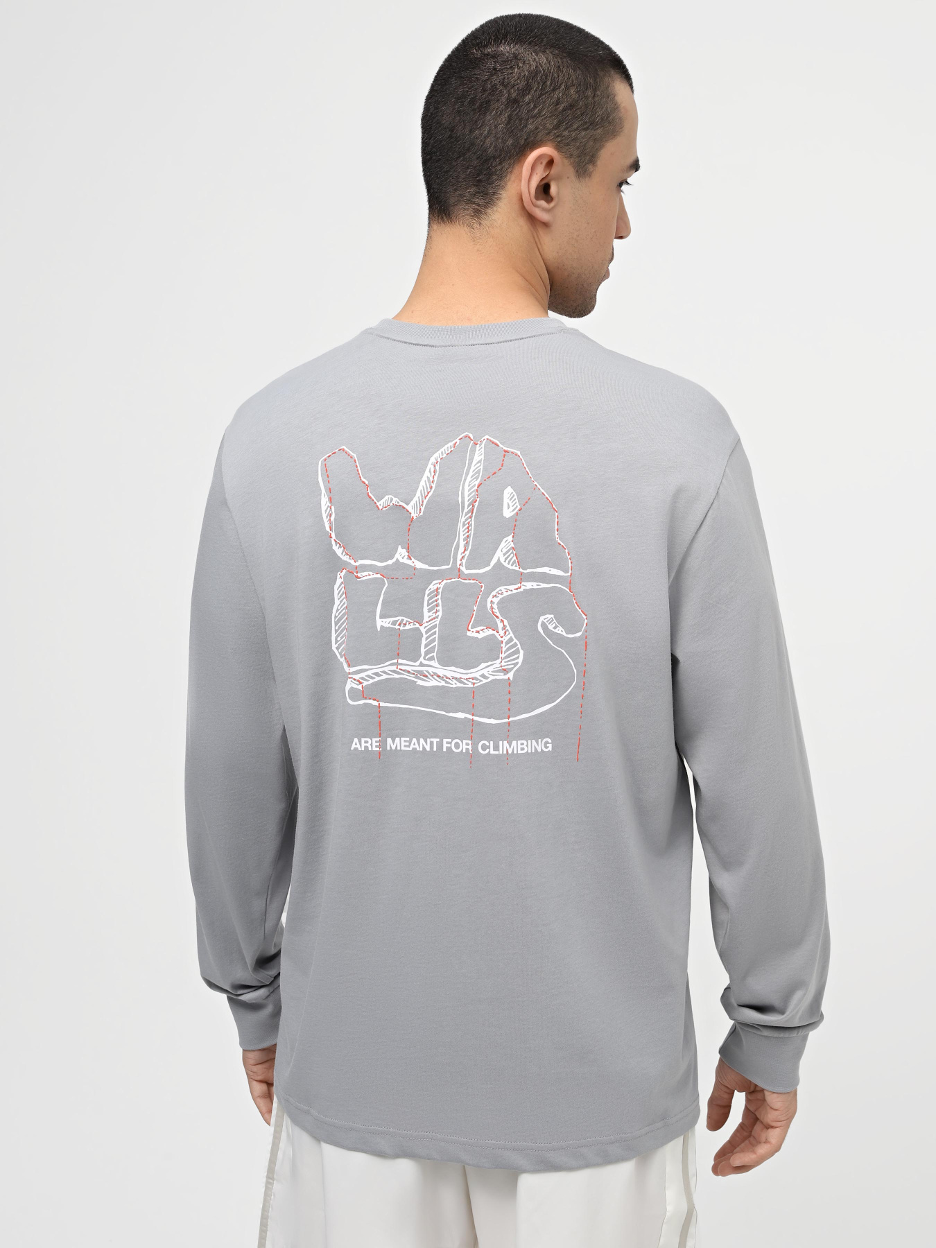 Худі та світшоти The North Face M Outdoor Graphic L/S модель NF0A880WH5F1 Худі та світшоти The North Face M Outdoor Graphic L/S модель NF0A880WH5F1 Фото